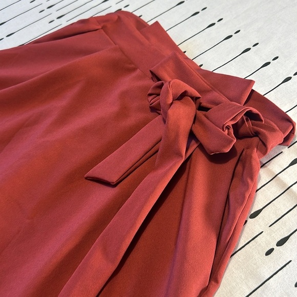 Potter's  Pot Rust Colored Premium Skirt. Size Small - Picture 2 of 7